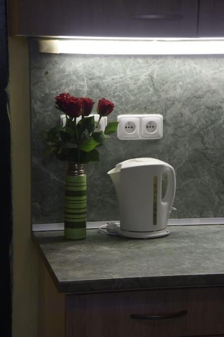 Cosy Warm Apartment In The Heart Of Prague. 外观 照片